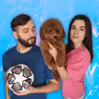 Telegram @naparusevoneonomChannel Image