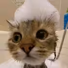 Telegram @destroyer_aChannel Image