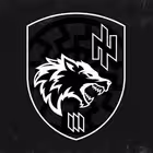 Telegram @ShturmovaRota3Channel Image