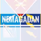 Telegram @nemagadanChannel Image
