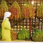 Telegram @super_dubaiChannel Image