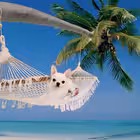 Telegram @dipikkkkChannel Image