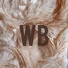 Telegram @sallewildChannel Image