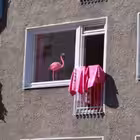 Telegram @ovsyankintourChannel Image