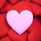 Telegram @LPMANONChannel Image