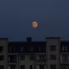 Telegram @notjustadiaryChannel Image