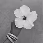 Telegram @msdlanoviChannel Image