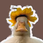 Telegram @reginalifeeChannel Image