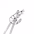 Telegram @dnsvnlgarchiveChannel Image