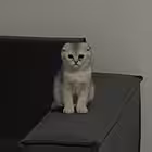 Telegram @noriclub1Channel Image