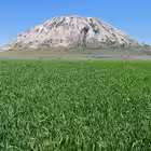 Telegram @dokladzakonchilChannel Image