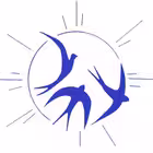 Telegram @shingarkinChannel Image