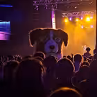 Telegram @saraymentalkyChannel Image