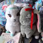 Telegram @kingdom_of_owlChannel Image