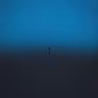 Telegram @maccinsChannel Image