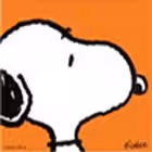 Telegram @cooleach_timetravelChannel Image