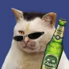 Telegram @trhnmzzChannel Image