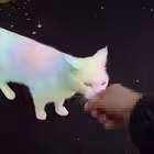 Telegram @fgsfds101Group Image