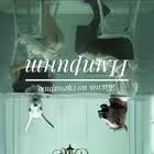 Telegram @mavrimGroup Image