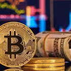 Telegram @binancepakistani659Group Image