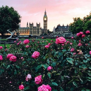 Telegram @datingworld3333Group Image