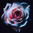 Telegram @casualdatingleipzigGroup Image