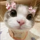 Telegram @Find_your_soulmate4Group Image