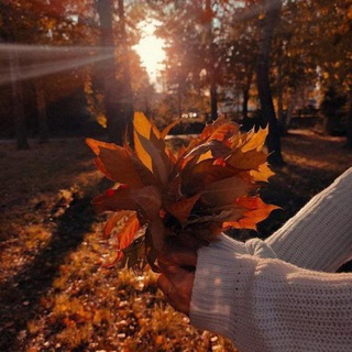 Telegram @lovechatavatarGroup Image