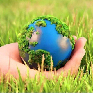 Telegram @jobopportunity0000Group Image