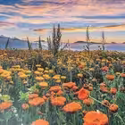 Telegram @findlove2824Channel Image