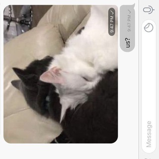 Telegram @romanceVChannel Image