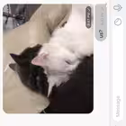 Telegram @romanceVChannel Image