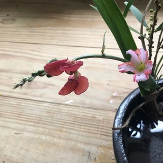 Telegram @LovelifeHiviChannel Image