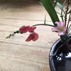 Telegram @LovelifeHiviChannel Image