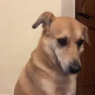 Telegram @pocket_me_aamasjvChannel Image