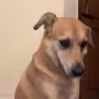 Telegram @pocket_me_aamasjvChannel Image