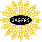 Telegram @bagfshisseGroup Image