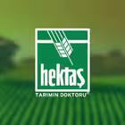 Telegram @hektshisseeGroup Image